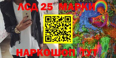 гидропоника Новозыбков