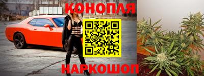 гидропоника Новозыбков