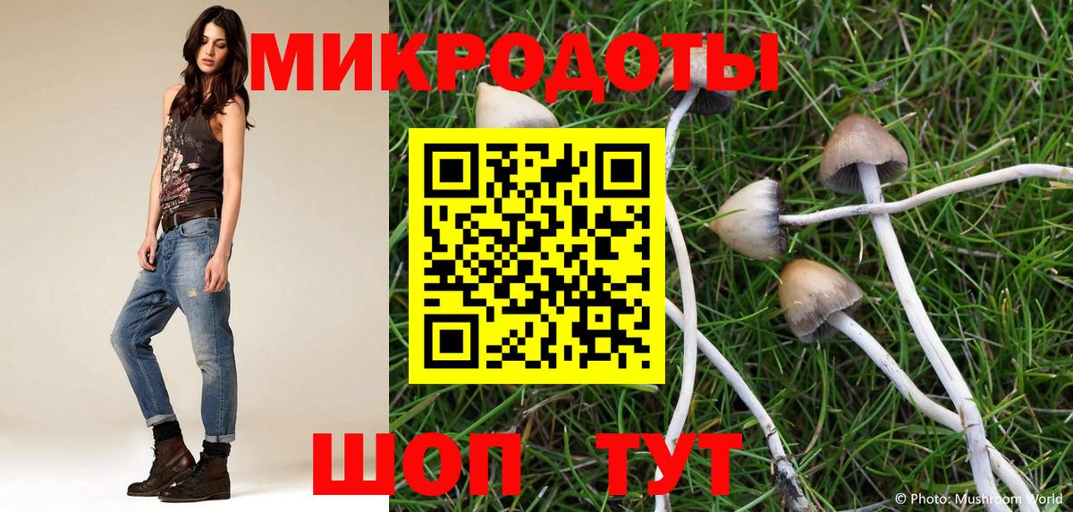 Галлюциногенные грибы GOLDEN TEACHER Топки