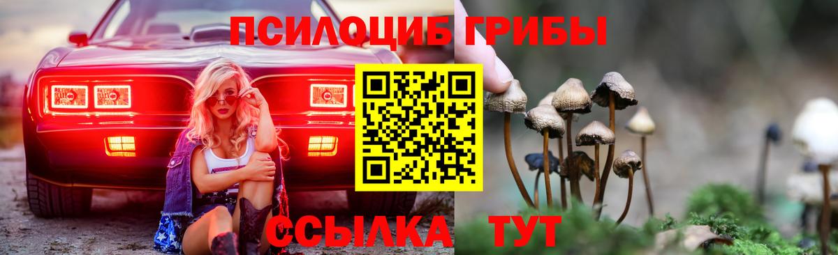 Галлюциногенные грибы прущие грибы  Галлюциногенные грибы прущие грибы  Вход с VPN  Топки 
